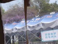 -东湖落雁景区