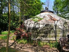 -上海海湾国家森林公园