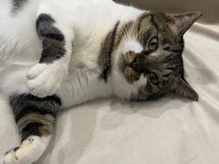 -桂满陇-锦绣江南(万象城店)