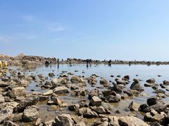 -阳光海岸露营公园
