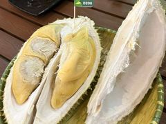 -榴莲BB 四季果园
