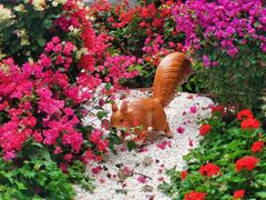 摩星岭入口-广州市白云山风景名胜区