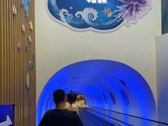 -常州海昌海洋探索馆