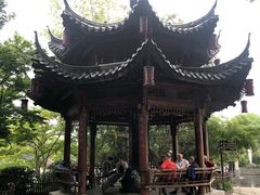 -运河游船(武林门码头)