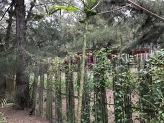 -北海金海湾红树林生态旅游区