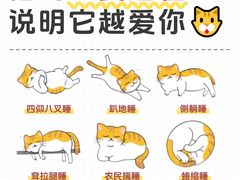 -lincat·猫舍(广州店)