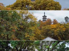 -苏州上方山国家森林公园