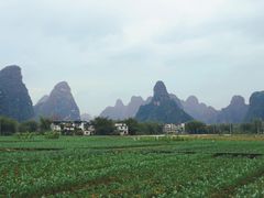 -明仕田园