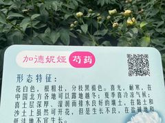 -仁和公园(顺义区)