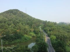 -美的鹭湖森林度假区
