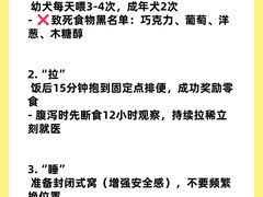 -翊宠yipet猫狗购宠庄园犬舍•猫舍