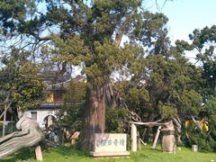 IMAG3405-司徒庙