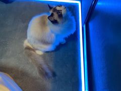 -零纪元VR体验馆·桌游(黄浦店)