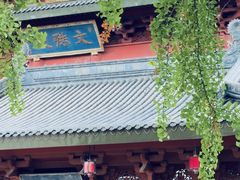 -上海东林寺(金山区)