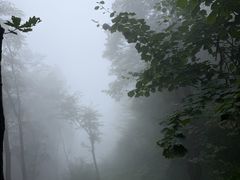 -吉林拉法山