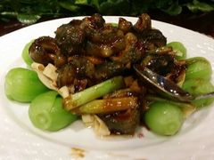 android_upload_pic-万宝海鲜舫(劳动公园店)