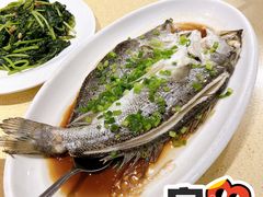 豉汁蒸海鲈鱼-肥妹烧腊店(翠竹路店)