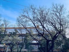 景点-景山公园