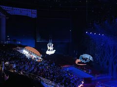 -灵玲国际马戏城