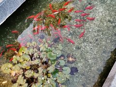 -斯通泰伯酒店-餐厅