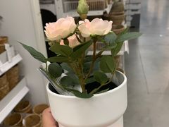 -宜家家居(哈尔滨商场店)