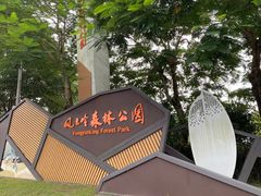 -风云岭森林公园