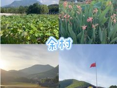 -阿露佳·舌尖上的安吉菜