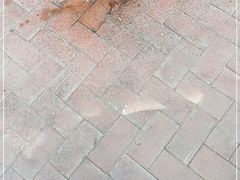 -宁味楼·西北创新融合菜(正源南街宝湖店)