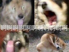 -大叔家福鼎小吃(十全街店)