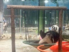 -栾川竹海野生动物园