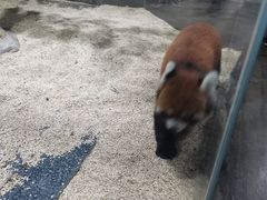 -海合安武汉极地海洋公园