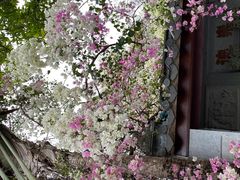 -深圳国际园林花卉博览园