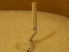 -三亚亚龙湾万豪度假酒店