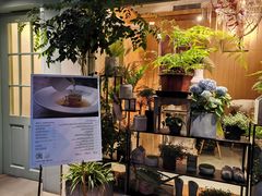 -蝶舍·MAISON PAPILLON