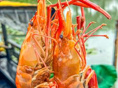 -水岸居湖景农家乐·阳澄湖大闸蟹