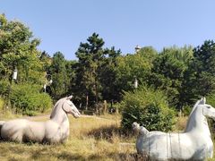 -鹦鹉寺公园