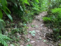 -青龙山国家森林公园