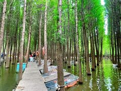 -捞渔河湿地公园