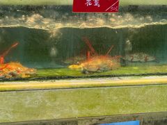 -旺富东海大酒楼(海鲜街店)