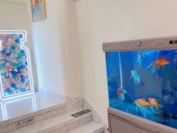 -海涛医疗美容·面部抗衰·注射美鼻