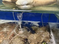 -这片海·海景餐厅(博鳌店)