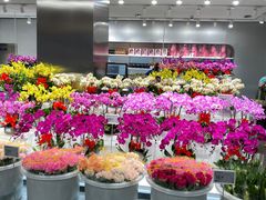 -盒马X会员店(王府井奥莱UP TOWN店)
