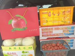 -西郊国际农产品交易中心