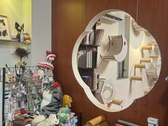 -楼上猫咖(罗湖店)