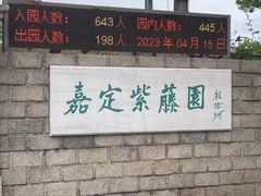 -嘉定紫藤园