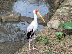-吉隆坡雀鸟公园