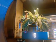 -儒之堂·足道养生SPA影院式(万融城店)