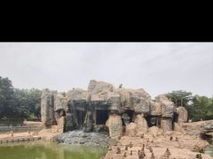 -深圳野生动物园