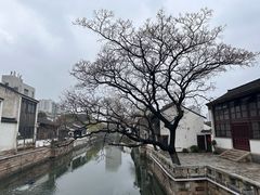 -青果巷历史文化街区