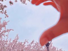 -海棠花溪(元大都城垣遗址公园)